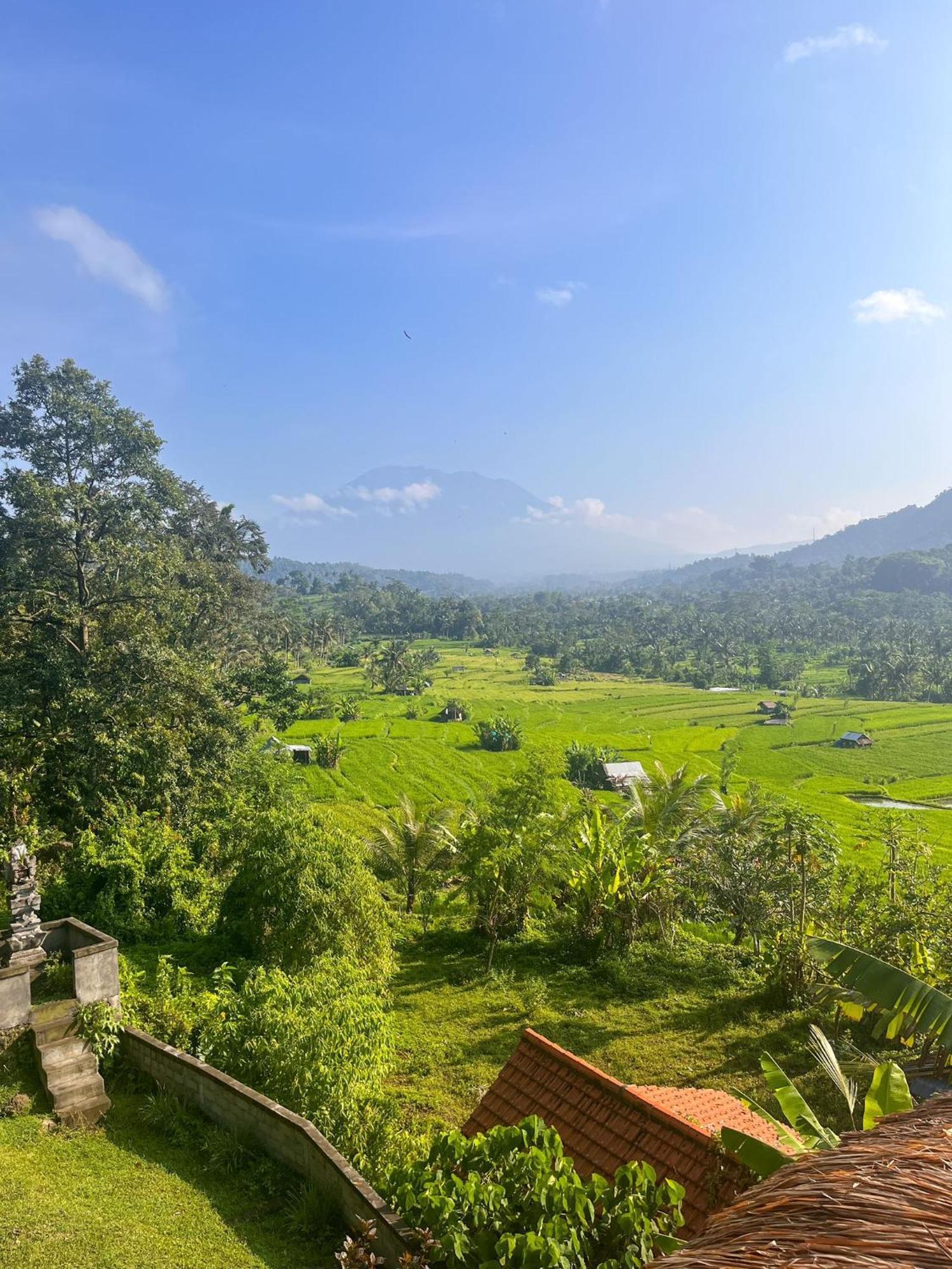 Villa Lumbung Ayu Sari & Spa 까랑아섬 외부 사진